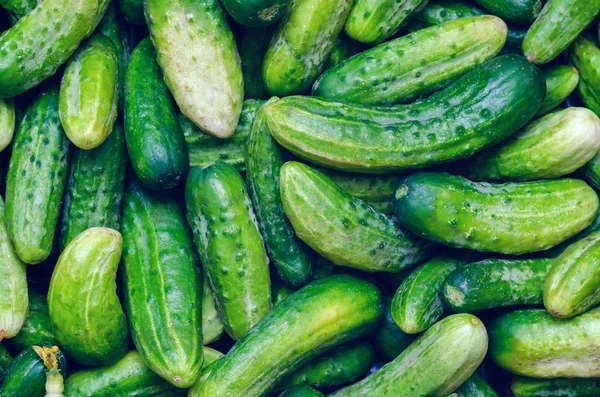 Légumes bio frais, concombres verts, fond de texture — Photo