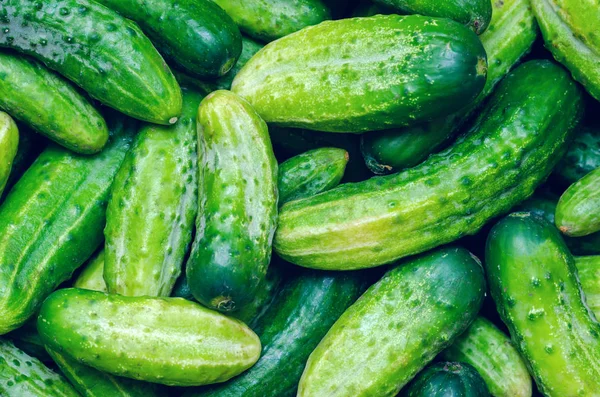 Taze organik sebzeler, yeşil salatalık, doku arka plan — Stok fotoğraf