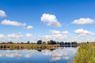 Bir nehir ve mavi gökyüzü ile güzel yaz manzara.