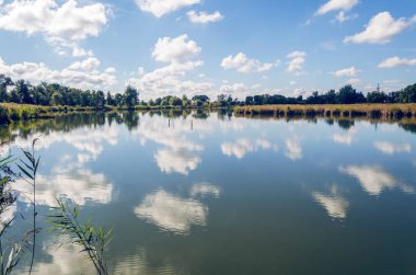 Bir nehir ve mavi gökyüzü ile güzel yaz manzara.