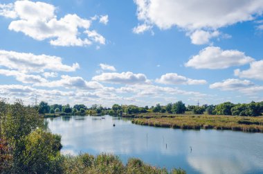 Bir nehir ve mavi gökyüzü ile güzel yaz manzara.