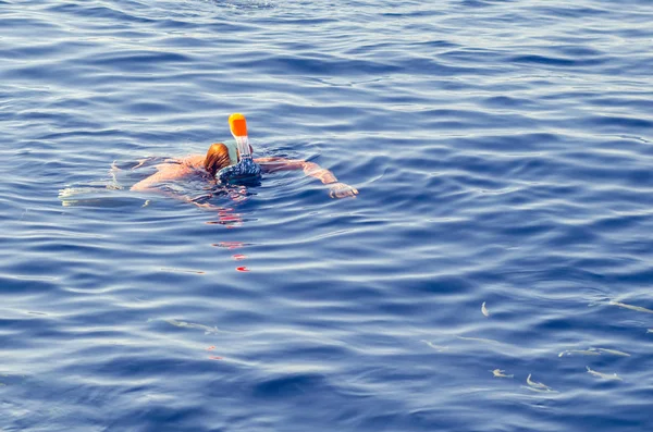 Frau in einer Schnorchelmaske in einem Korallenriffpool. Touristischer Lebensstil, Wassersport — Stockfoto