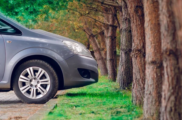 Car parked on the street in the shade of trees