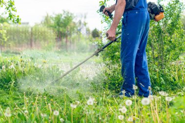 Bahçıvan bahar bahçesinde bir budama makinesiyle çimleri biçer.