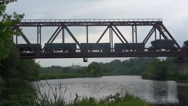 Φορτηγό Τρένο Βόλτες Μια Σιδηροδρομική Γέφυρα Πάνω Από Ποτάμι — Αρχείο Βίντεο
