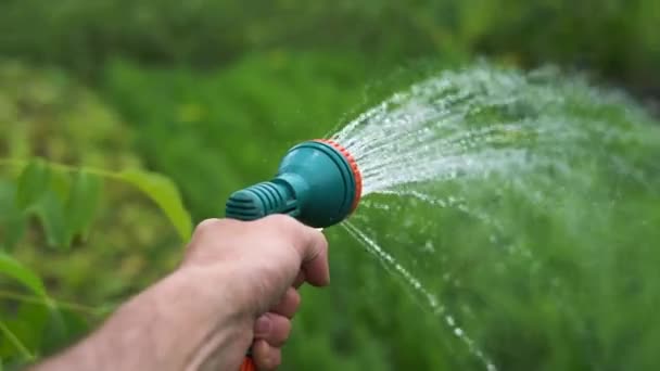 Gardener Hand Holds Hose Sprayer Watered Plants Garden — Stock Video