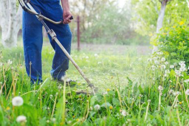 Bahçıvan bahar bahçesinde bir budama makinesiyle çimleri biçer.