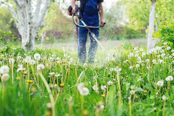 Jardinero Corta Hierba Con Una Podadora Jardín Primavera —  Fotos de Stock