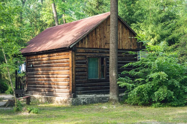 Stary Drewniany Dom Sosnowym Lesie — Zdjęcie stockowe