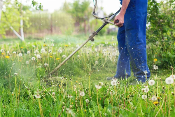 Jardinero Corta Hierba Con Una Podadora Jardín Primavera —  Fotos de Stock