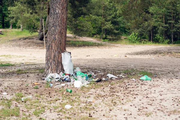 Купа Сміття Лісі Забруднення Навколишнього Середовища — стокове фото