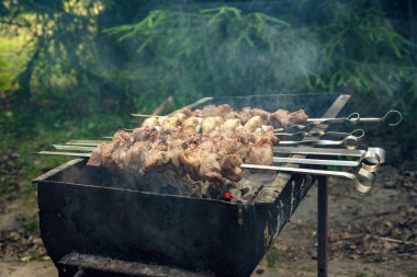 Lezzetli, sulu, marine edilmiş şiş kebap mangalda pişirilir..