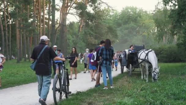 Belaya Tserkov Ucrania Agosto 2020 Multitudes Personas Caminan Parque Público — Vídeo de stock