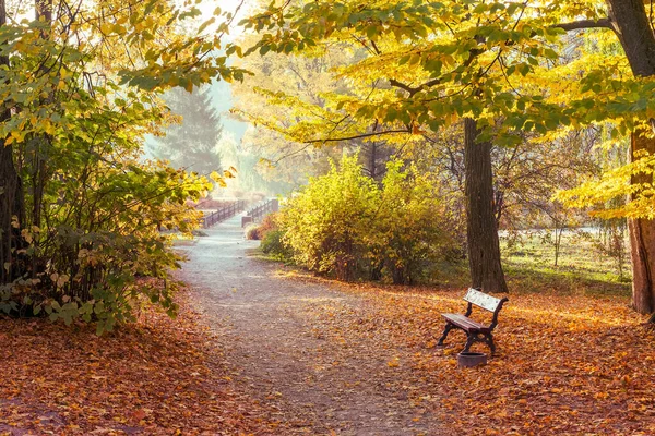 Fußweg Einem Schönen Farbenfrohen Herbstpark — Stockfoto