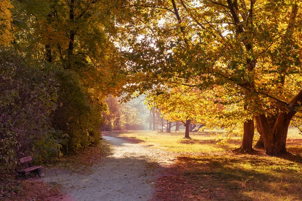 Ścieżka Piesza Pięknym Kolorowym Parku Jesiennym — Zdjęcie stockowe