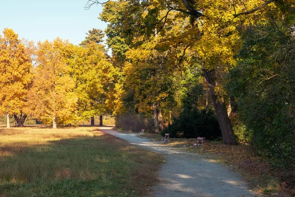 Fußweg Einem Schönen Farbenfrohen Herbstpark — Stockfoto