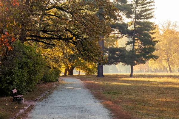 Fußweg Einem Schönen Farbenfrohen Herbstpark — Stockfoto