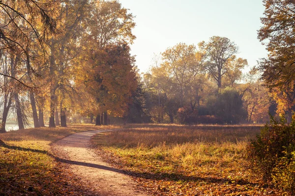 Fußweg Einem Schönen Farbenfrohen Herbstpark — Stockfoto