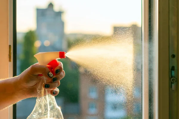 スプレー洗剤で窓ガラスを掃除する — ストック写真