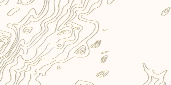 Золота Лінія Топографії Гірський Пішохід Концепція Топографічної Карти Простором Вашої — стоковий вектор
