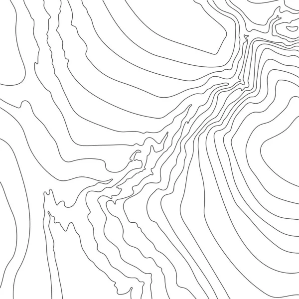 Mappa Linea Topografia Escursionismo Montagna Concetto Mappa Topografica Con Spazio — Vettoriale Stock