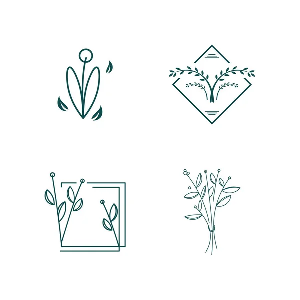 Natureza Floral Logotipo Design Modelo Coleção — Vetor de Stock