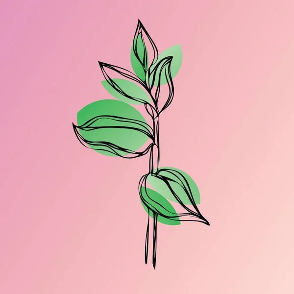 Vector Illustratie Een Prachtige Stoom Van Een Groene Plant Met — Stockvector