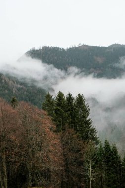 Masaüstü duvar kâğıdı için özel fotoğraf