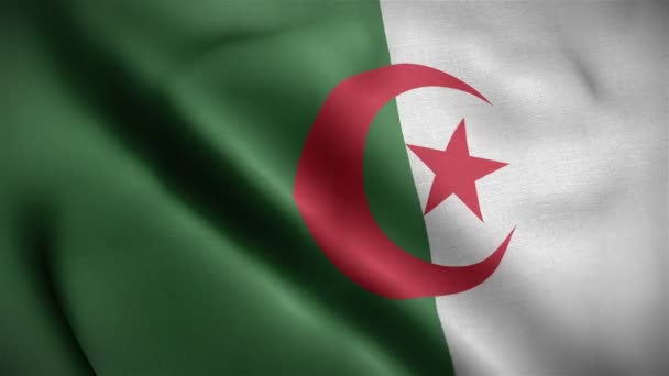Algeria drapeau gros plan soufflant dans le vent — Video
