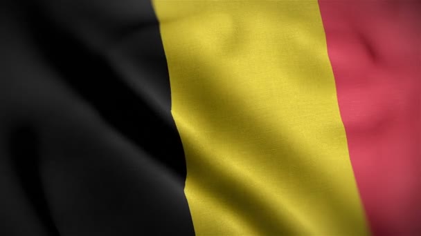 Drapeau belgique gros plan soufflant dans le vent — Video