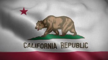 Kaliforniya eyalet bayrağı rüzgarda dalgalanıyor