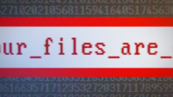 Computer code encrypting files — Stock Video