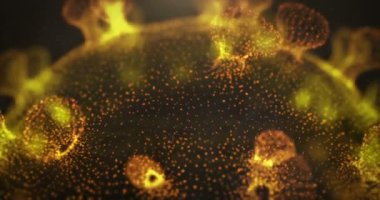 Corona virüsü bakterisi partik ile dönen yakın çekim