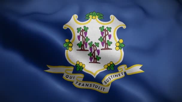 Connecticut stát vlajky foukání ve větru — Stock video