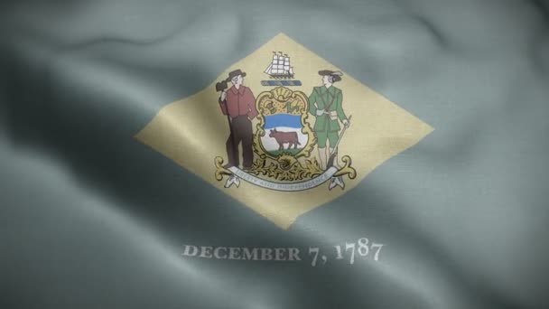 风中飘扬的特拉华州旗 — 图库视频影像