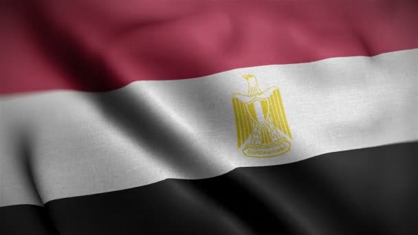 Primer plano de la bandera egipcia soplando en el viento — Vídeos de Stock