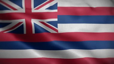 Hawaii eyaleti bayrağı rüzgarda dalgalanıyor