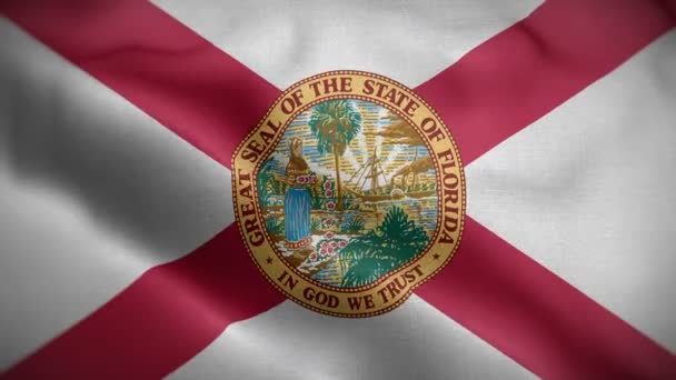 Florida eyaleti bayrağı rüzgarda dalgalanıyor — Stok video