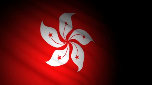 Hong Kong bayrağı rüzgarda dalgalanıyor. — Stok video