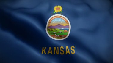 Kansas eyaleti bayrağı rüzgarda dalgalanıyor