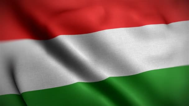 Hungary bandera primer plano soplando en el viento — Vídeos de Stock