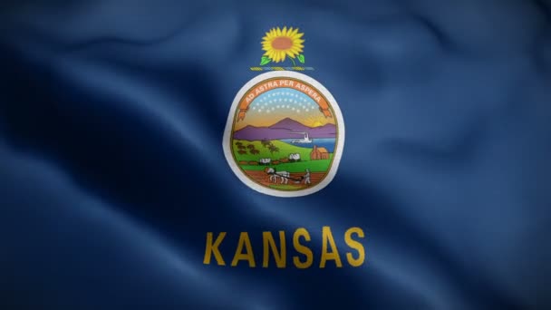 Kansas Staatsflagge weht im Wind — Stockvideo