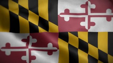 Maryland Eyaleti bayrağı rüzgarda dalgalanıyor