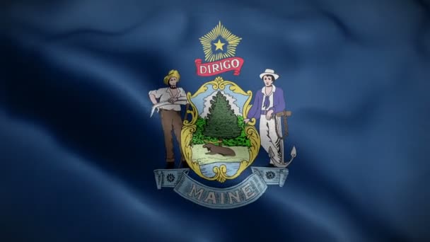 Drapeau de l'état maine soufflant dans le vent — Video