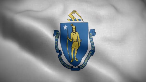 Massachusetts statliga flagga som blåser i vinden — Stockvideo