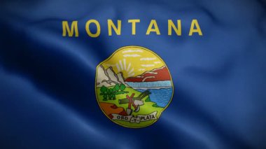 Montana Eyaleti bayrağı rüzgarda dalgalanıyor