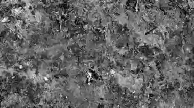 Motion Matte Doğa HD