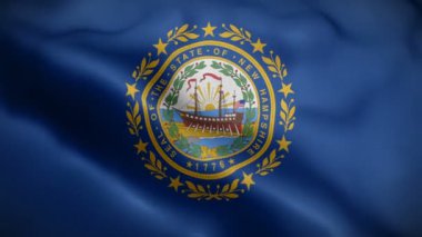 Rüzgarda dalgalanan yeni Hampshire bayrağı