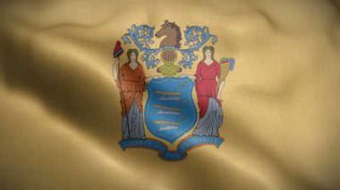New Jersey eyaleti bayrağı rüzgarda dalgalanıyor