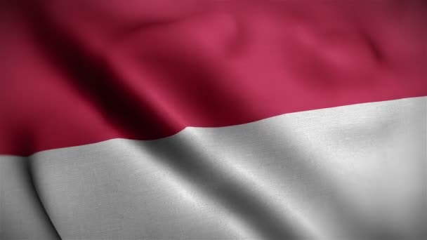 drapeau monaco gros plan soufflant dans le vent